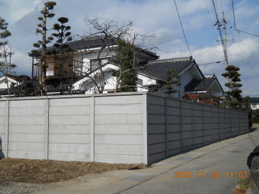 2010-11-01.JPG